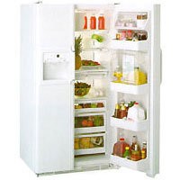Встраиваемый холодильник General Electric TPG21PRBB