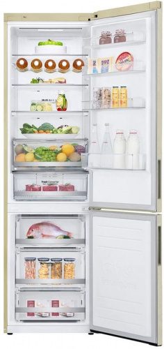 Холодильник LG GA-B509CEDZ фото 6