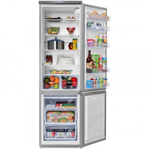 Холодильник DON R 291 металлик искристый фото 4