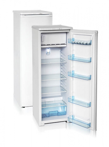 Холодильник Бирюса 107 фото 2