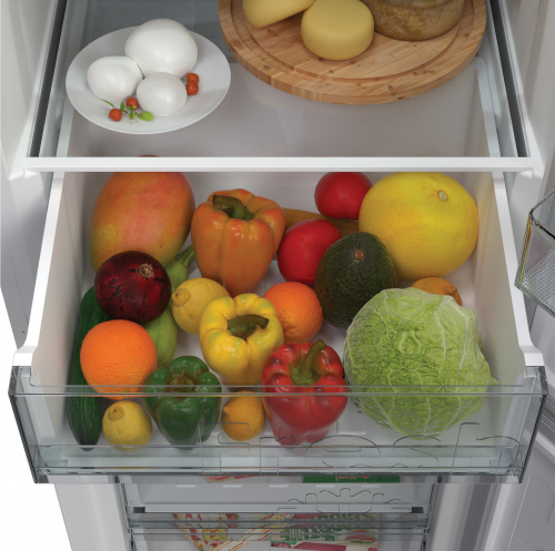 Холодильник Candy CCRN 6200W фото 6