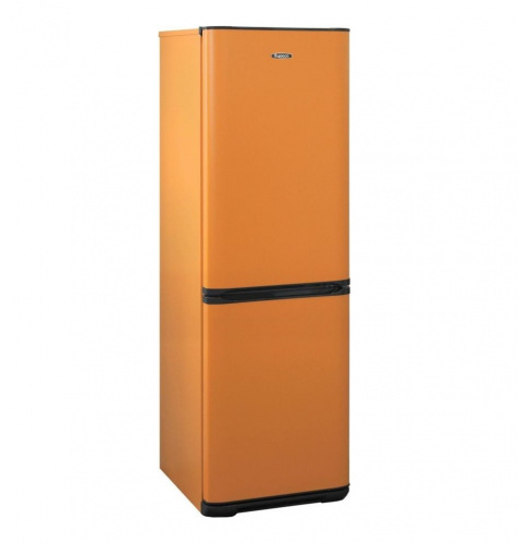 Холодильник Бирюса T320NF фото 2