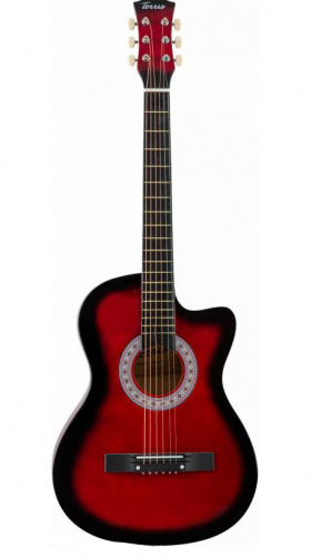 Акустическая гитара Terris TF-3802С RD фото 2