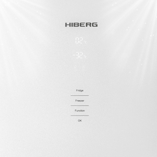 Холодильник Hiberg RFC-400DX NFGW фото 7