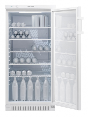 Холодильник Pozis Свияга 513-6 C серебристый фото 3
