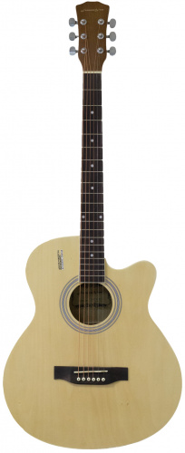 Акустическая гитара Elitaro E4020C N фото 2