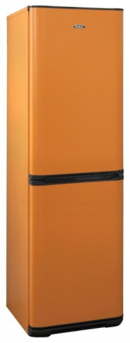 Холодильник Бирюса T340NF фото 2