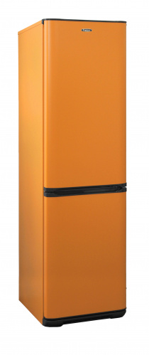 Холодильник Бирюса T649 фото 2