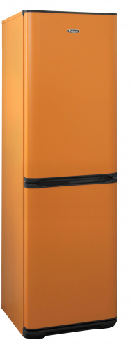 Холодильник Бирюса T631 фото 2