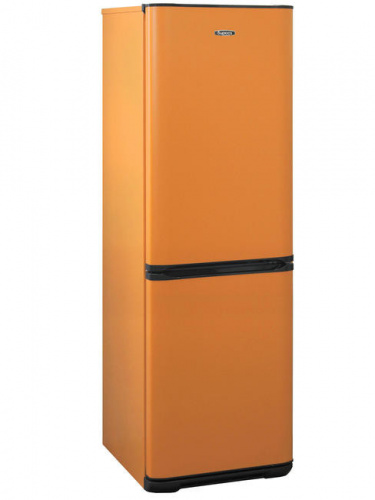 Холодильник Бирюса T633 фото 2