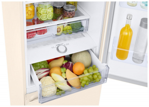 Холодильник Samsung RB38T676FEL фото 9