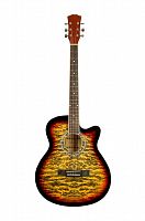 Акустическая гитара Elitaro E4030C SB Tiger