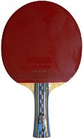 Теннисная ракетка Donic Testra Pro