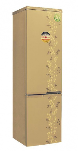 Холодильник DON R-291 ZF золотой цветок фото 2