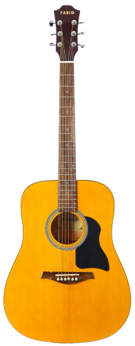 Акустическая гитара Fabio FW220 N