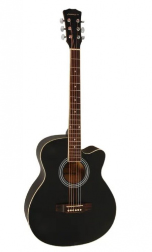 Акустическая гитара Elitaro E4020C BK фото 2