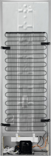 Холодильник Electrolux RRT 5MF38 W1 фото 5
