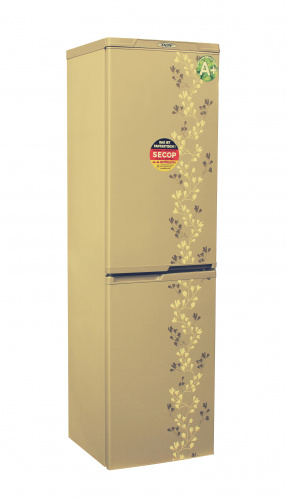 Холодильник DON R-297 ZF золотой цветок фото 2