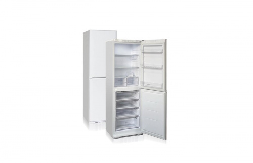 Холодильник Бирюса 6031 фото 3