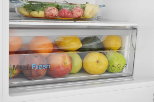 Встраиваемый холодильник Scandilux CSBI 256 M фото 8
