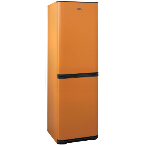 Холодильник Бирюса T340NF фото 4