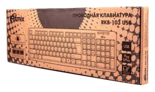 Клавиатура Ritmix RKB-103 USB фото 4