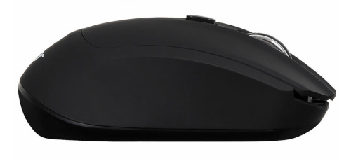 Мышь Acer OMR050 (ZL.MCEEE.00B) черный фото 4