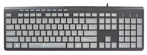 Клавиатура Oklick 480M черный/серый