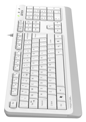 Клавиатура A4Tech Fstyler FKS10 белый/серый фото 5