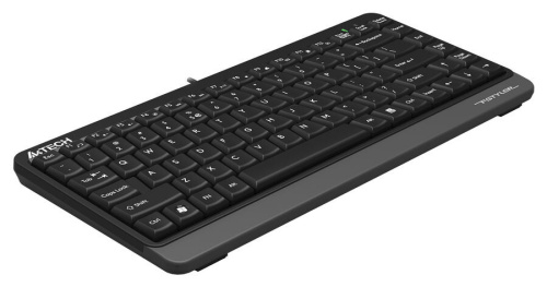 Клавиатура A4Tech Fstyler FKS11 черный/серый фото 6