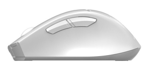 Мышь A4Tech FG 30 белый/серый фото 3