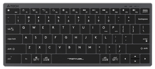 Клавиатура A4Tech Fstyler FX51 серый фото 2