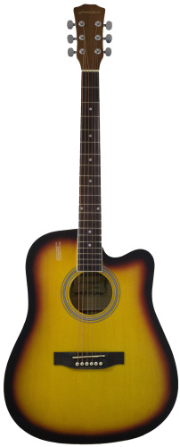 Акустическая гитара Elitaro E4120C SB фото 2