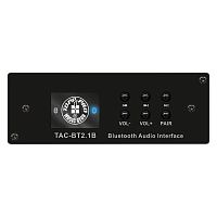 Модуль Topp Pro TAC-BT2.1B
