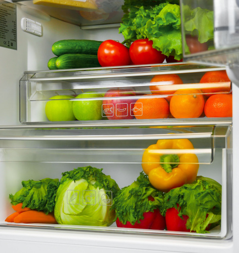 Встраиваемый холодильник Lex RBI 250.21 DF фото 3