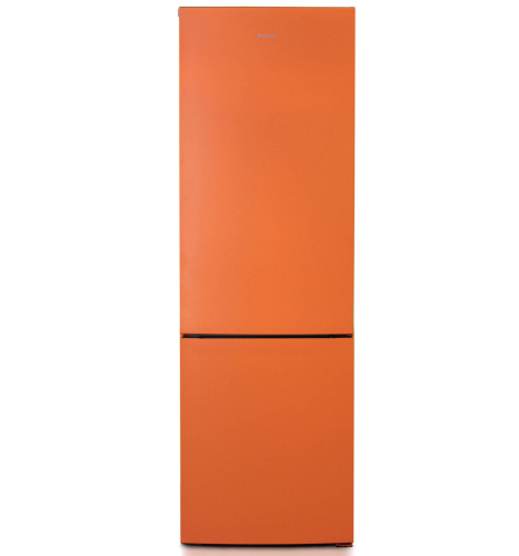 Холодильник Бирюса T6027 фото 2