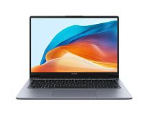 Ноутбук Huawei MateBook D14 MDF-X (53013UFC)
