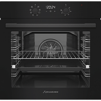 Электрический духовой шкаф Schaub Lorenz SLB EY6095
