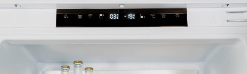 Встраиваемый холодильник Bertazzoni REF603BBNPTC фото 2